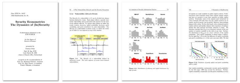 Security Econometrics - The Dynamics of (In)Security